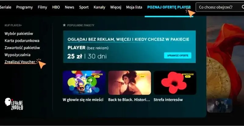 Delta Media Player: ile kosztuje abonament i jakie są plany subskrypcyjne?