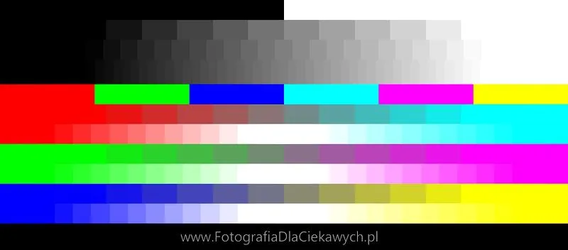 Kalibracja monitora